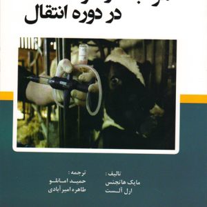 مراقبت از گاوها در دوره انتقال